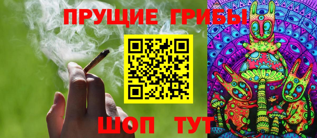 Галлюциногенные грибы Psilocybine cubensis Липецк