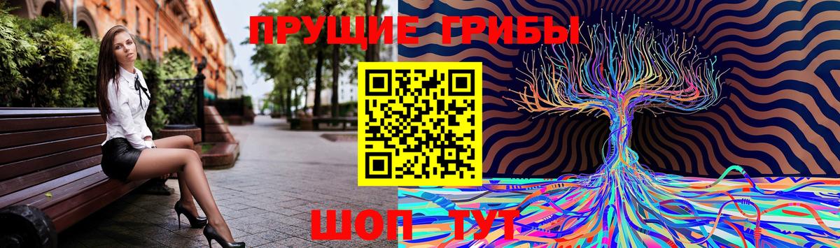 Галлюциногенные грибы Psilocybe  Вход с VPN  Липецк 